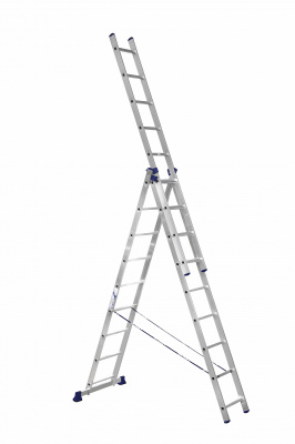 5309